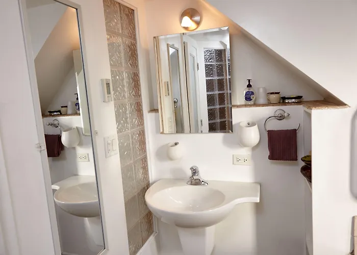 Ray's Bucktown Bed & Breakfast 3*